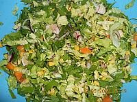 "Salata de verdeturi cu ton" - poza de cristinutza cristina