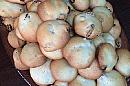 &quot;Biscuiți cu banane și cocos (de post)&quot; - poza de Sin Elena