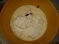 Tiramisu cu fructe de padure - Pas 5