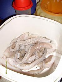 Caracatita cu otet si usturoi - Pas 2