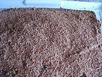 Prajitura cu crema Ganache - Pas 8