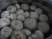 Ciuperci pane - Pas 2