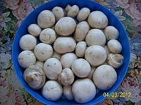Salata de ciuperci cu pui si maioneza - Pas 1