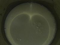 Crema de vanilie. - Pas 1