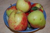 Dulceata de aronia, mere si nuci - Pas 5