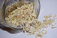 Germeni de cereale (germinare la borcan) - Pas 20