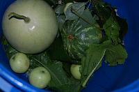 Pepene verde murat (la butoi) - Pas 2