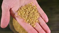 Pilaf cu bulgur - Pas 1