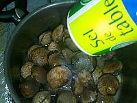 Scoici AMANDES A LA MARINIERE - Pas 7