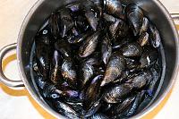 Scoici in sos de rosii - Moules à la provençale - Pas 2
