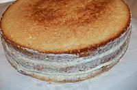 Tort "Tartufo Bianco" - Pas 13
