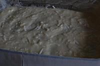 Placinta greceasca cu branza (Tiropita) - Pas 5