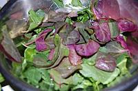 Salata de primavara - Pas 4