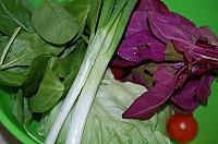 Salata de primavara cu dressing special - Pas 1