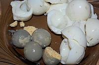 Salata "Ursul Polar" - Pas 2