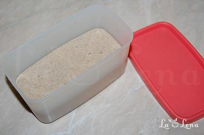 Maia pentru pâine-Starter(1)