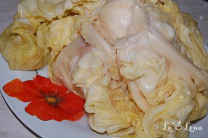 Varză murată