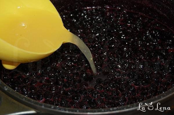 Dulceață de aronia, mere și nuci - Pas 4