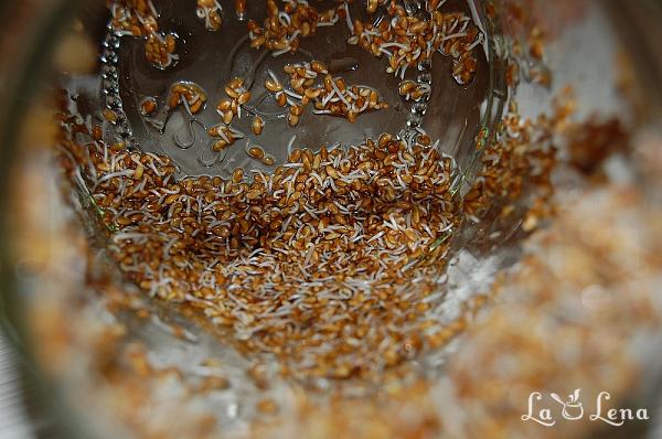 Germeni de cereale (germinare la borcan) - Pas 12