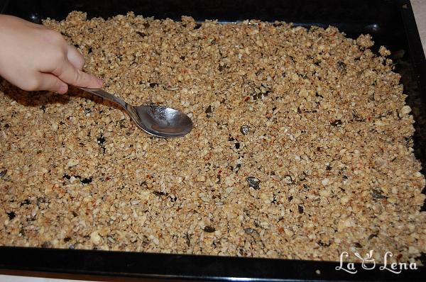 Granola fara carbohidrati si gluten, low-carb - Pas 7