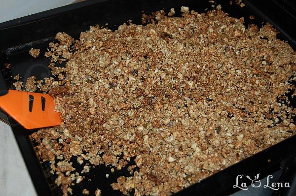 Granola fara carbohidrati si gluten, low-carb - Pas 8