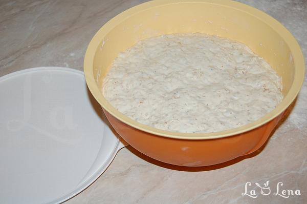 Pâine din 4 ingrediente, pentru începători - Pas 6