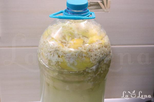 Socată fără drojdie, fermentată cu maia - Pas 8